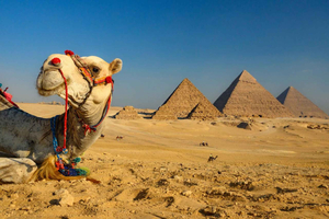 Hurghada: Pyramiderna i Kairo, Grand Egyptian Museum & citadellen, flyg