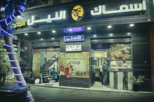أسماك النيل الجديد