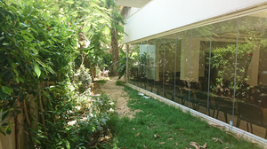 Blue Lotus Wellbeing Centre