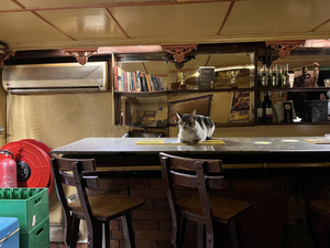 Le Comte Downtown Bar