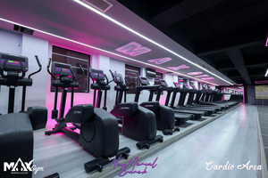 Max Gym Manial Branch