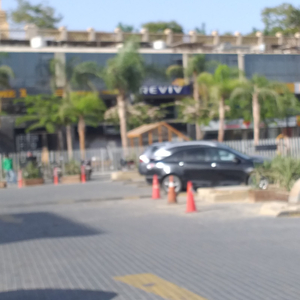 Reviv Egypt