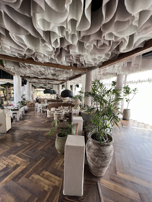The Lemon Tree & Co. One Ninety