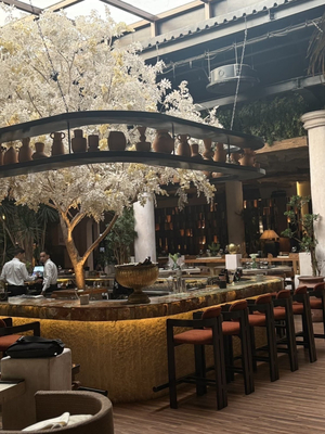 The Lemon Tree & Co.