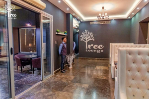 Tree Lounge Maadi Branch