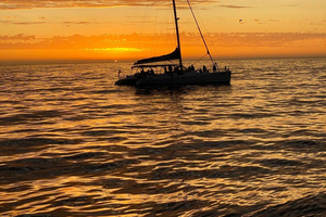 Kapstadt: Ein luxuriöser Segelausflug bei Sonnenuntergang von der V&A Waterfront