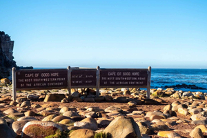 AFRICAN PENGUINS & CAPE OF GOOD HOPE HALFDAY TOUR