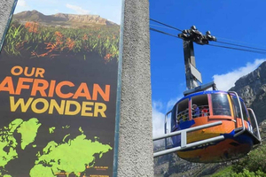 An Exclusive Full-day Tour of Table Mountain & Robben Island