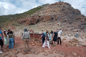 Cape of Good Hope & Penguins Full-Day Tour