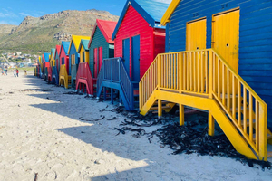 Cape of Good Hope & Penguins Full-Day Tour