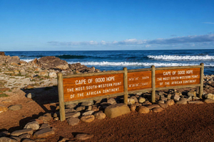 Cape Point Cape of Good Hope, Penguins Private Half day Tour
