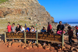 Cape Town: Cape of Good Hope & Penguin Colony Half-Day Tour