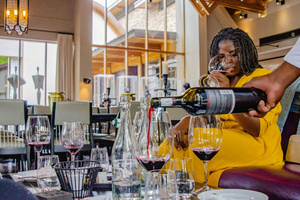 Ciudad del Cabo: tour de medio día por Constantia con cata de vinos