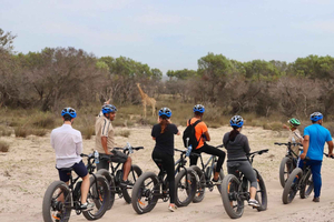 Cape Town: Guided e-Bike Safari Tour