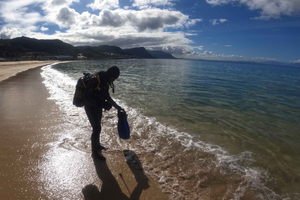 Cape Town: Scuba Diving Experience for Beginners