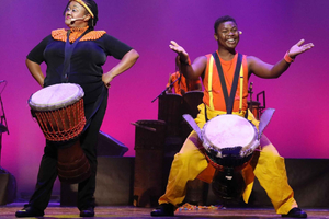 Cape Town: Silvermist Estate Wine Tasting & Drumstruck Show