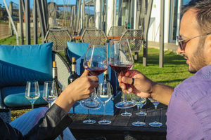 Cape Town: Stellenbosch and Franschhoek Wine Tasting Tour