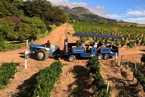 Kapstadt: Stellenbosch Hop-On/Hop-Off-Tractor Wine Tour