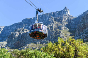 Cape Town: Table Mountain & Cape of Good Hope Full-Day Tour