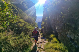Cape Town: Table Mountain Group Hike via Platteklip Gorge