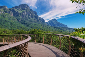 Cape Town: Table Mountain, Kirstenbosch Botanic Garden Tour