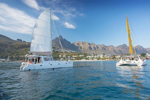 Cape Town: V&A Waterfront 1-Hour Scenic Cruise