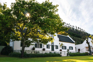 Circuit autour des vins du Cap : Fairview, Babylonstoren et bien plus