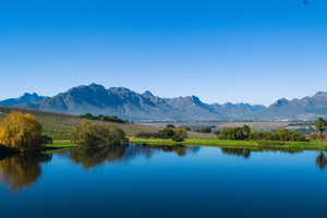 Cape Winelands: tour di lusso di 5 giorni tra golf e vino