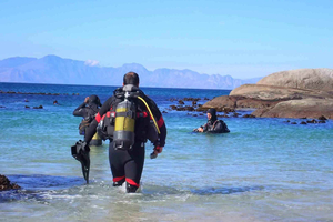 Discover Scuba Diving - 1 day experience