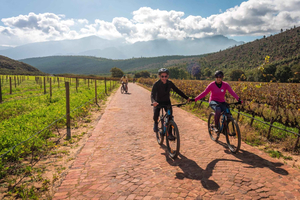 Franschhoek: Private E-bike Ride & Wine Experience