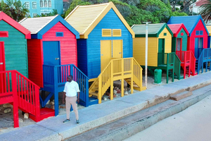 From Cape Town:Private Tour to Boulders Beach and Cape Point