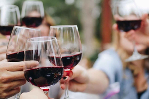 Da Città del Capo: tour privato del Pinotage bianco e rosso