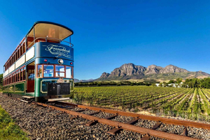 From Cape Town: Winelands Full Day Tour and Wine Tasting