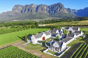 Full-Day Private: Best of the Cape