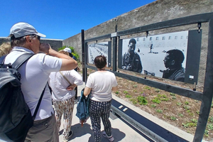 Tour de día completo a Robben Island y Table Mountain