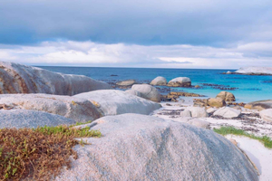 Kaapstad: dagtour