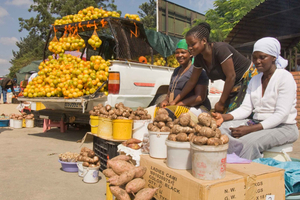 Half Day Township Small Group Tour with BBQ Lunch