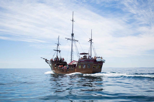 Ciudad del Cabo: experiencia diurna de crucero pirata Jolly Roger