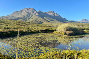 Wędrówka po Pętli Lamparta: Rezerwat Helderberg, Somerset West