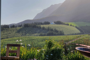 Luxury Wine Tour
