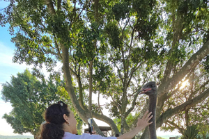 Ostrich Ranch Safari with Hotel Transfer
