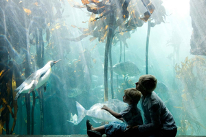Private Family Tour with Aquarium & Chocolate