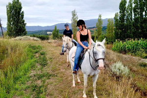 Città del Capo: passeggiata a cavallo privata con picnic e vino + pick-up