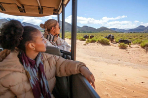 Private Tour: Big 5 Safari, Experience the wild animals