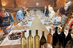 Private Wine Tasting Tour: Stellenbosch, Franschhoek, Paarl