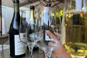 Private Wine Tour: Visit Stellenbosch, Franschhoek &Paarl
