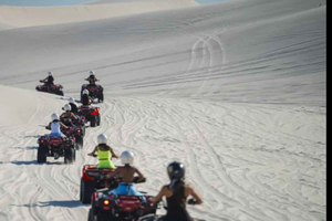 Ciudad del Cabo: día completo en quad, granja de avestruces y tobogán