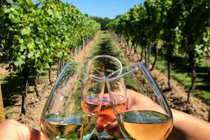 Rainbow Couples Wine Tasting And Tram Tour