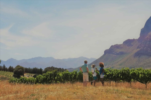 Stellenbosch: 4x4 Winelands Private Experience