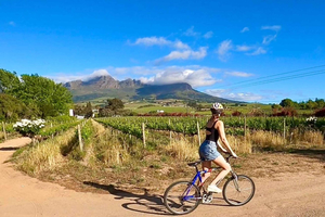 Stellenbosch: bici y cata de vino (traslado desde Ciudad del Cabo)